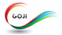 Goji Web Marketing